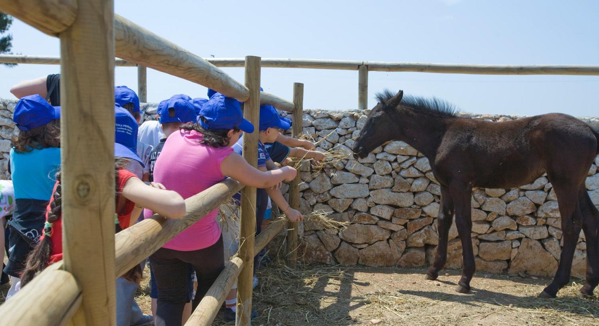 Agriturismo Scalelle オートラント エクステリア 写真