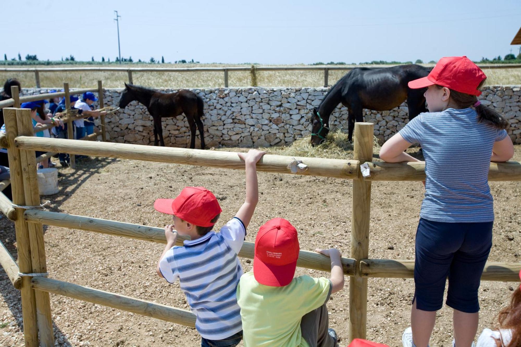 Agriturismo Scalelle オートラント エクステリア 写真